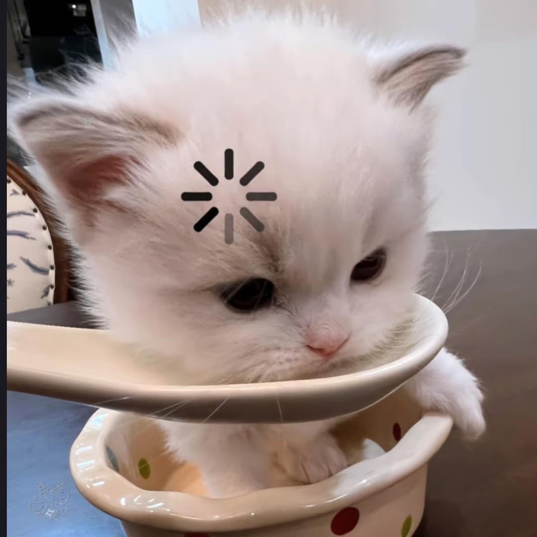 女明星