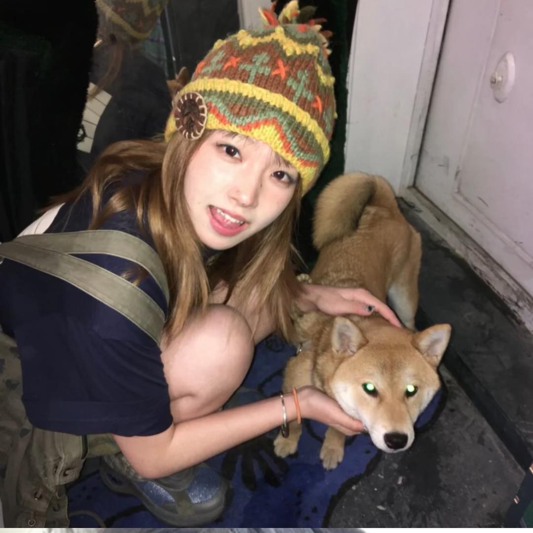 头发不要再跑了