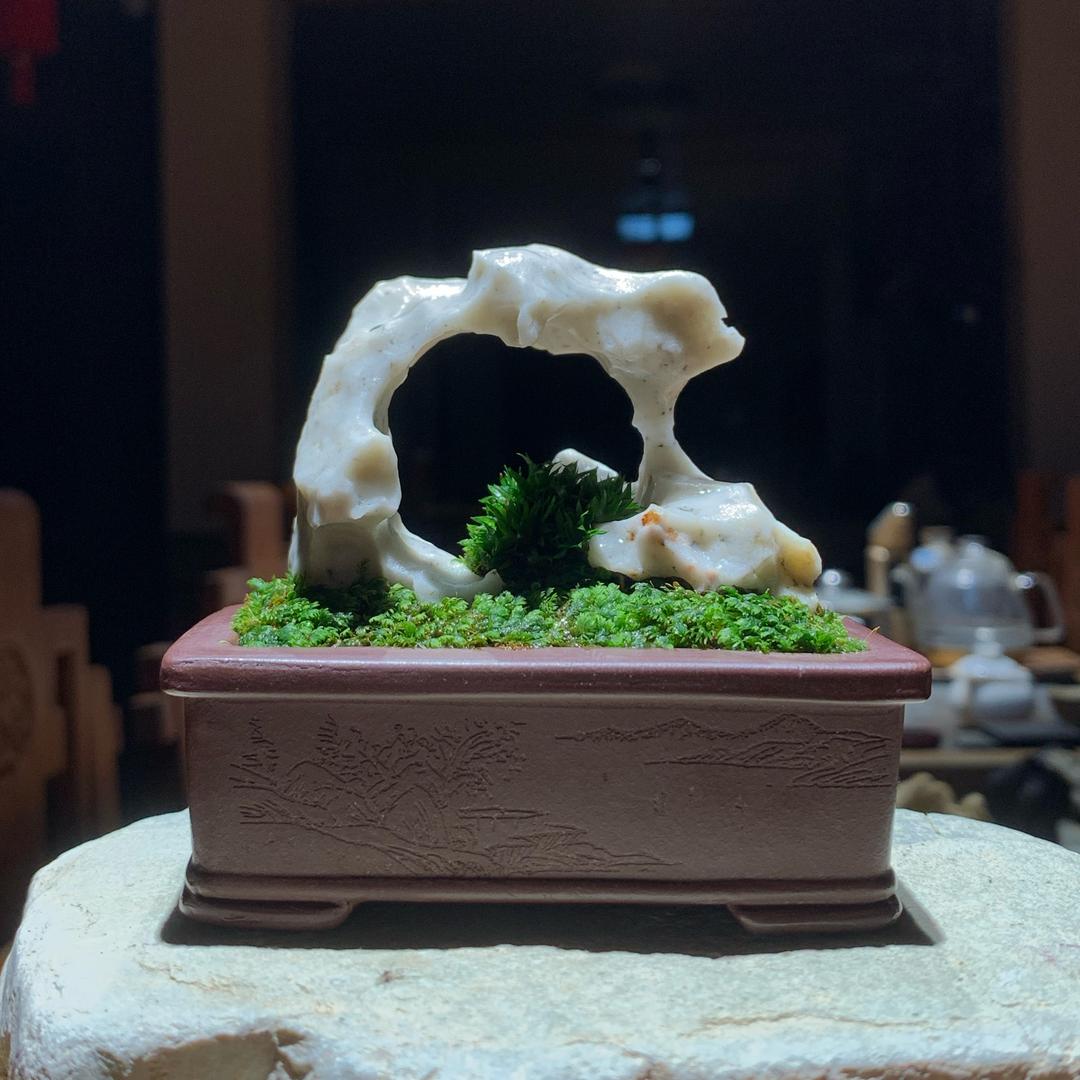 植卓石景