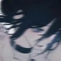 呆呆鸟