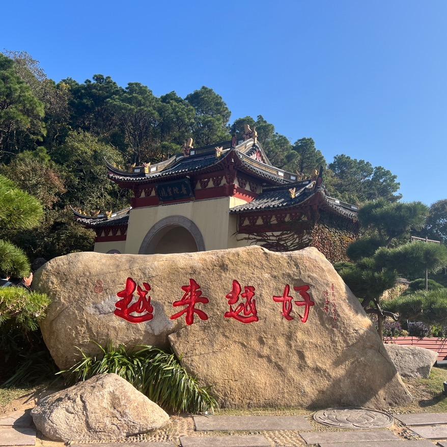开心果🍒