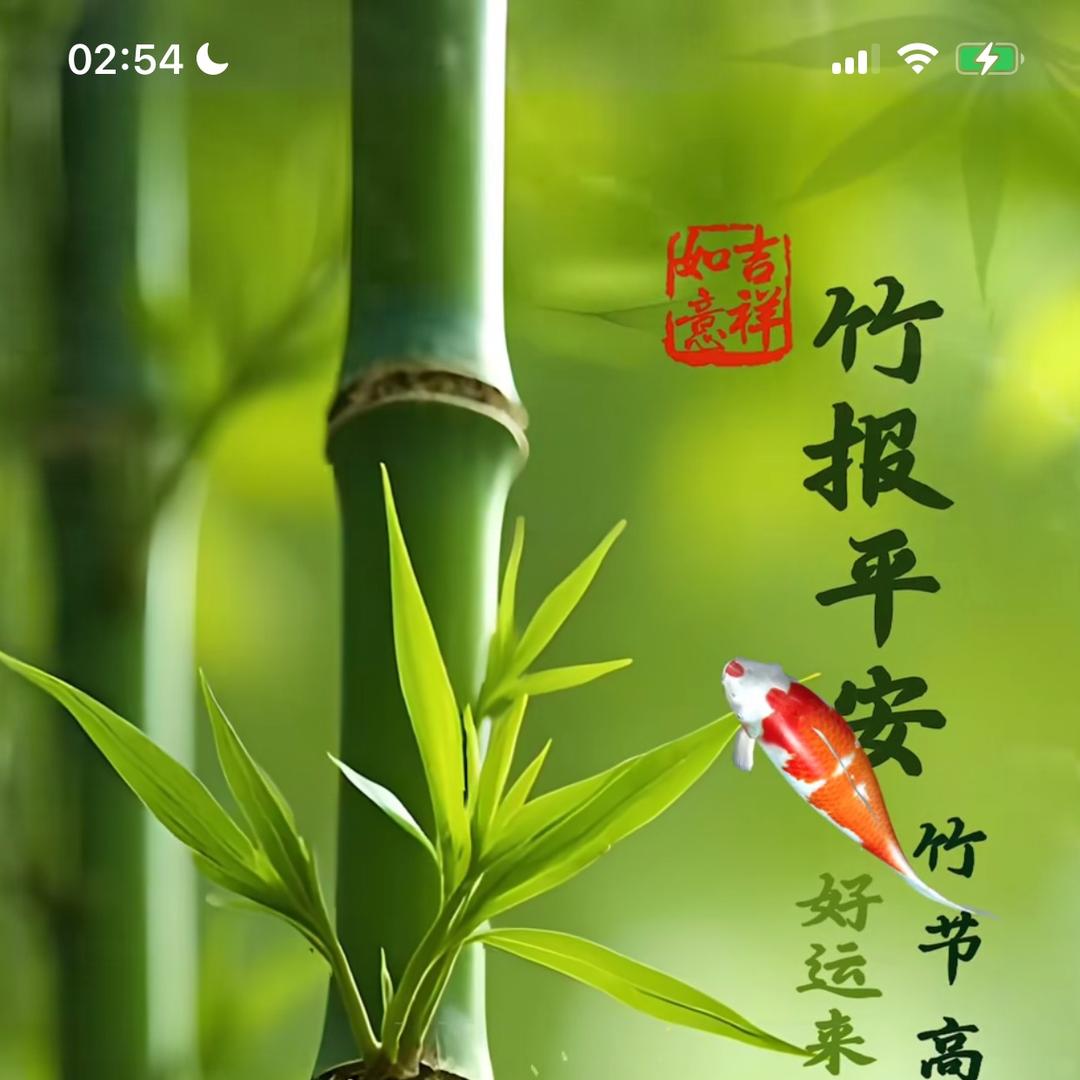 逍遥收藏品馆精选