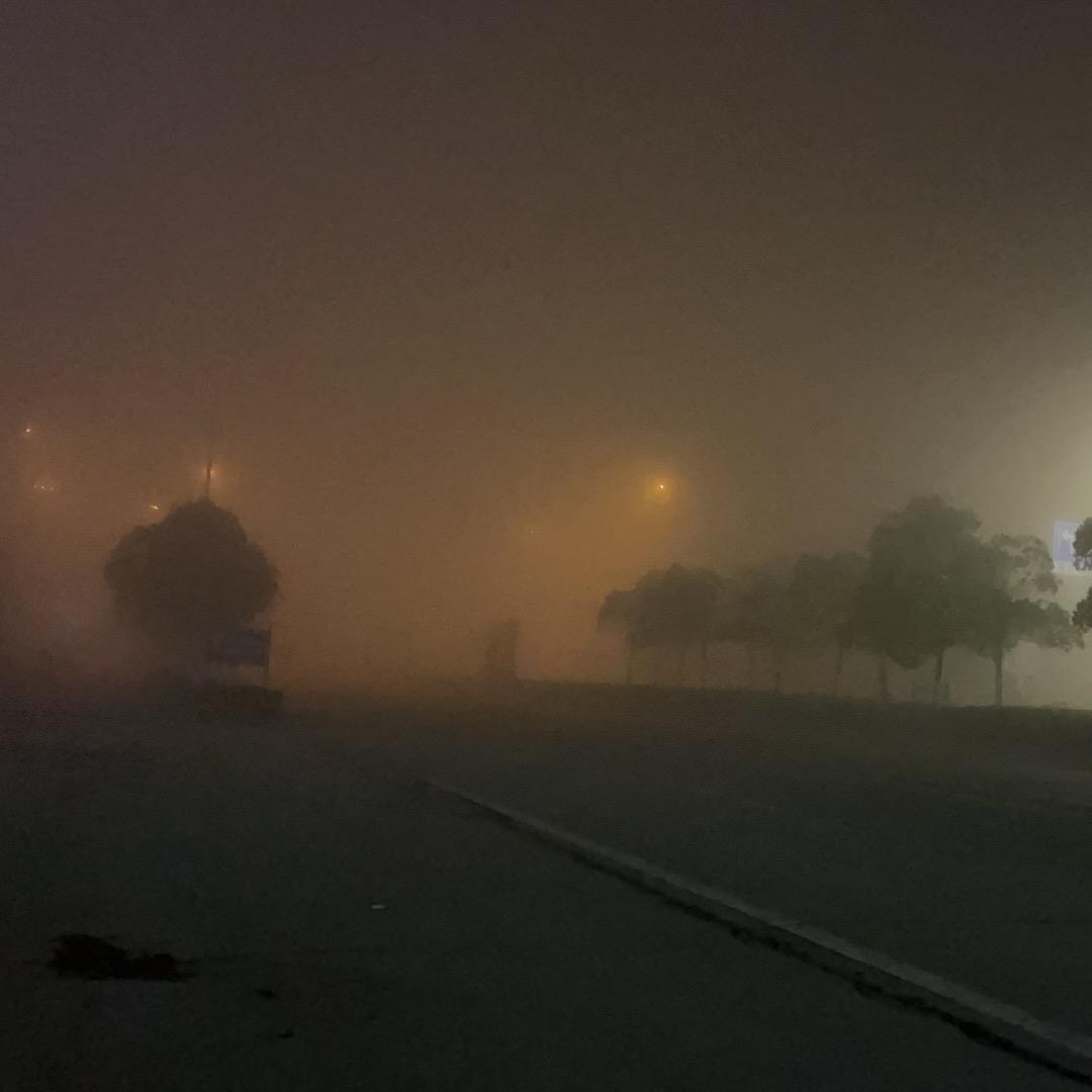 一日看遍长安花