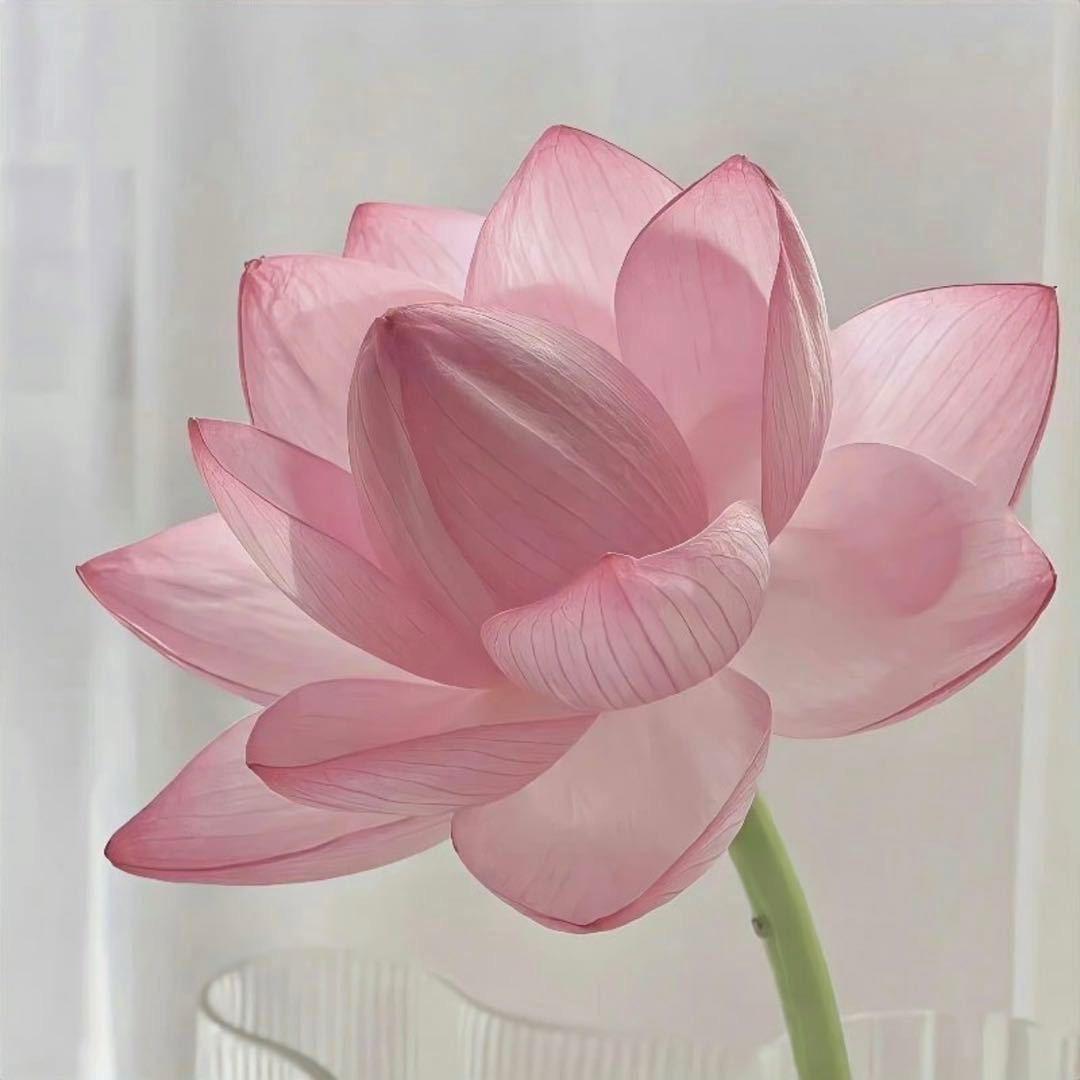灵灵7
