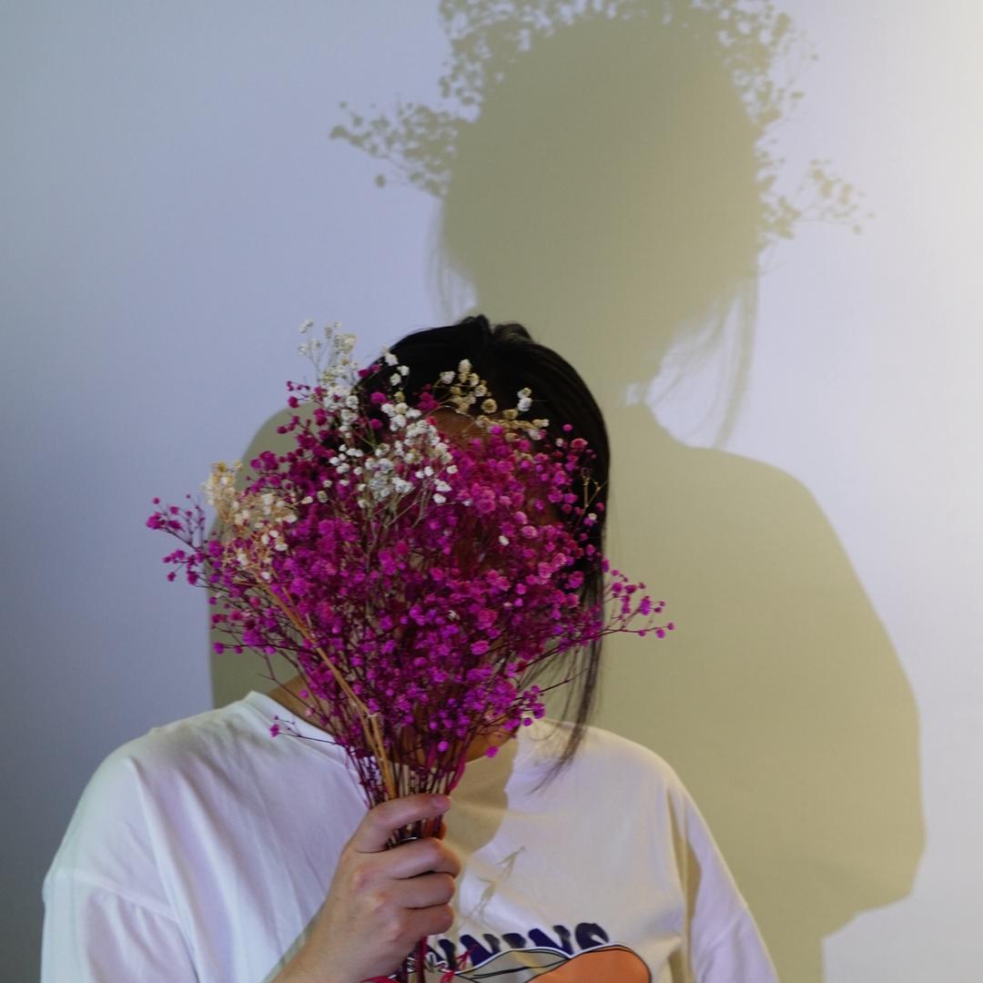 派派派大星.
