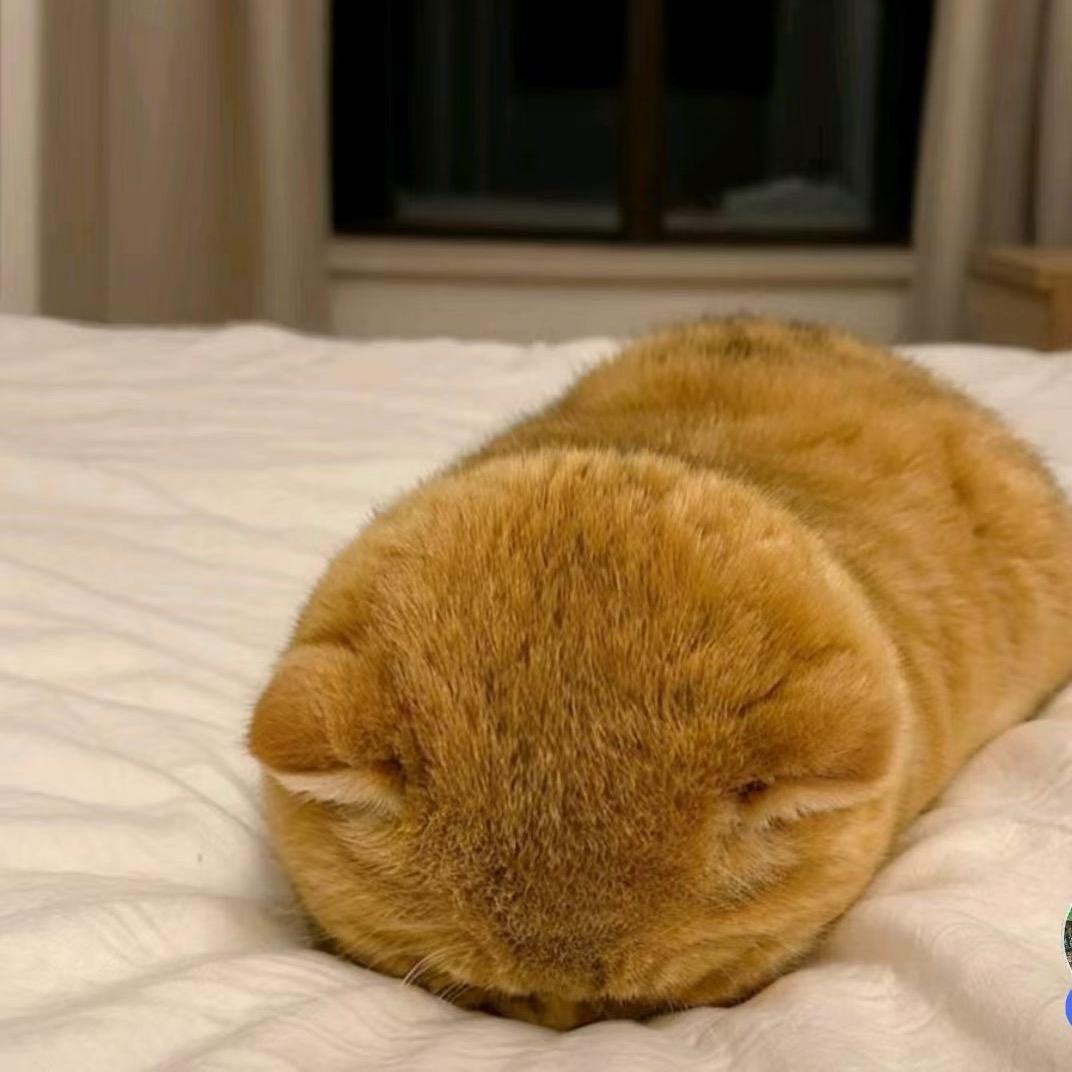 💕꧔ꦿ᭄顶峰࿆ྃ相见࿐