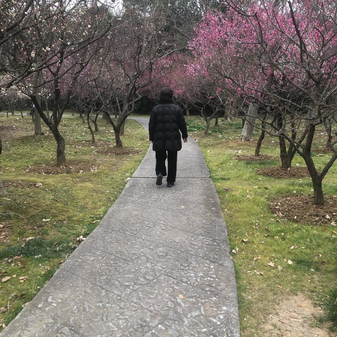 石大侠