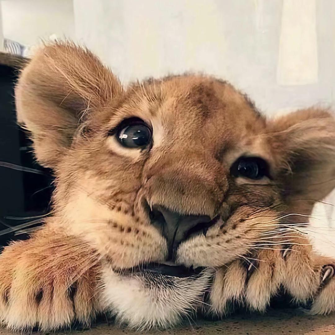 不懂、