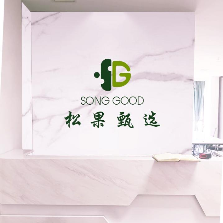 江西松果电商有限公司