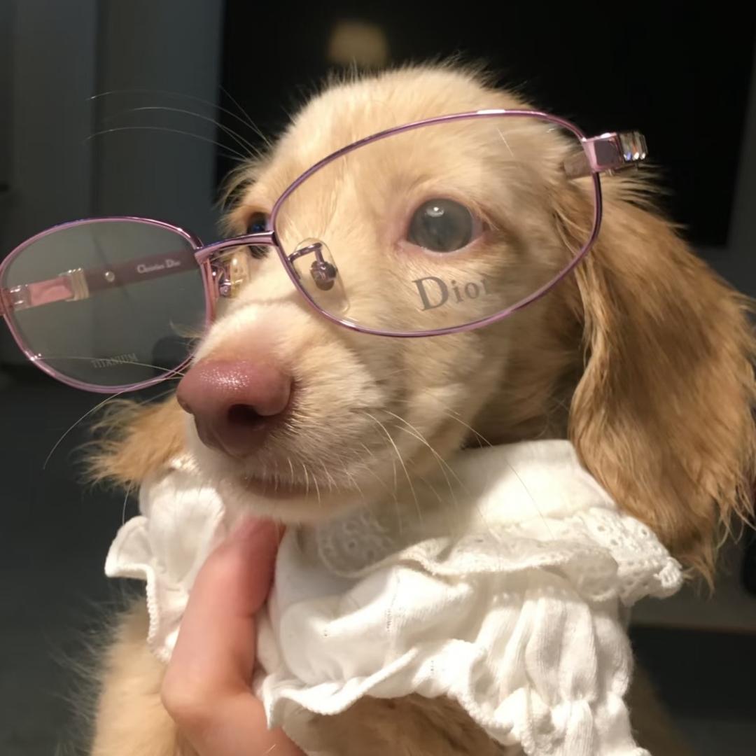 我睡觉的时候不困