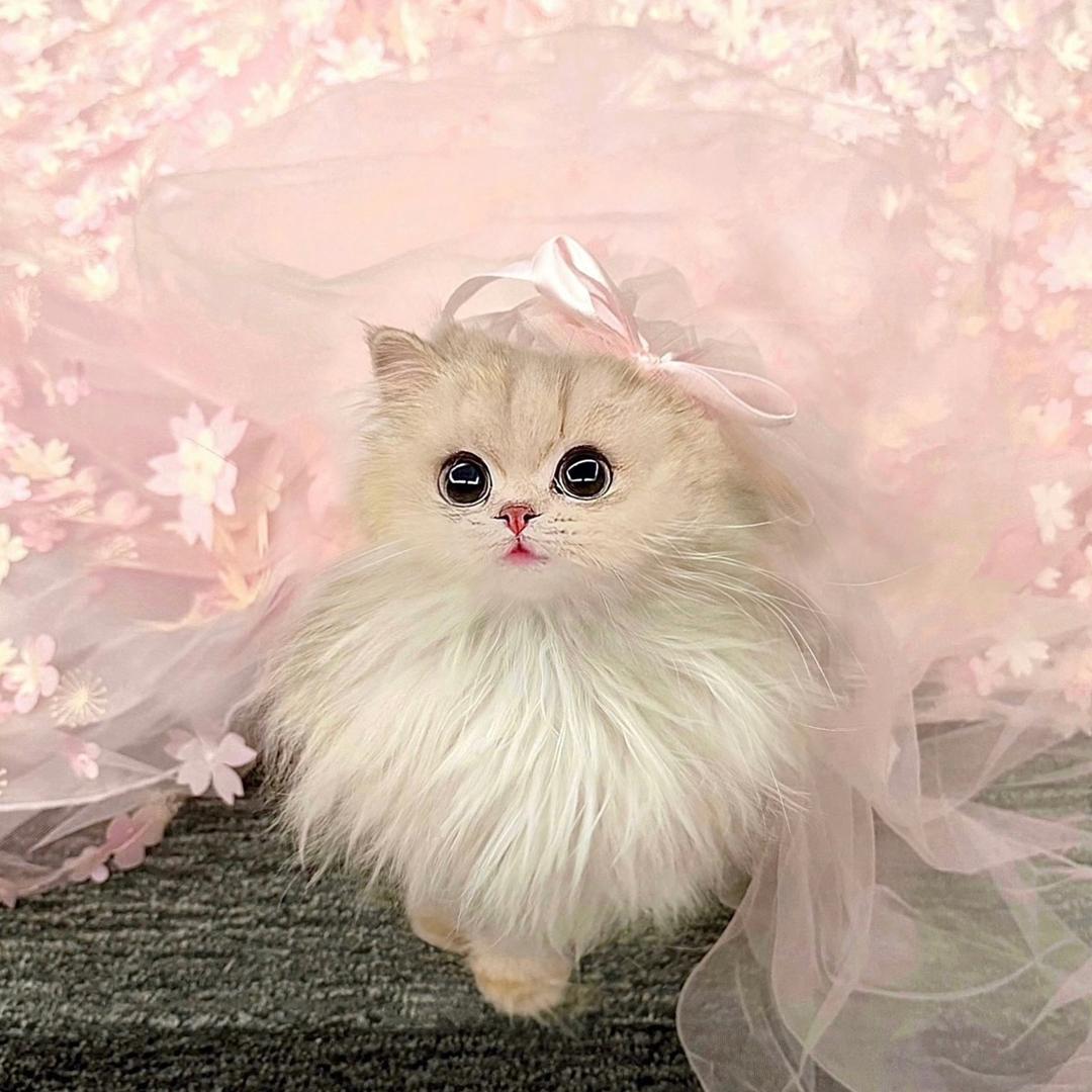 小妮^_^