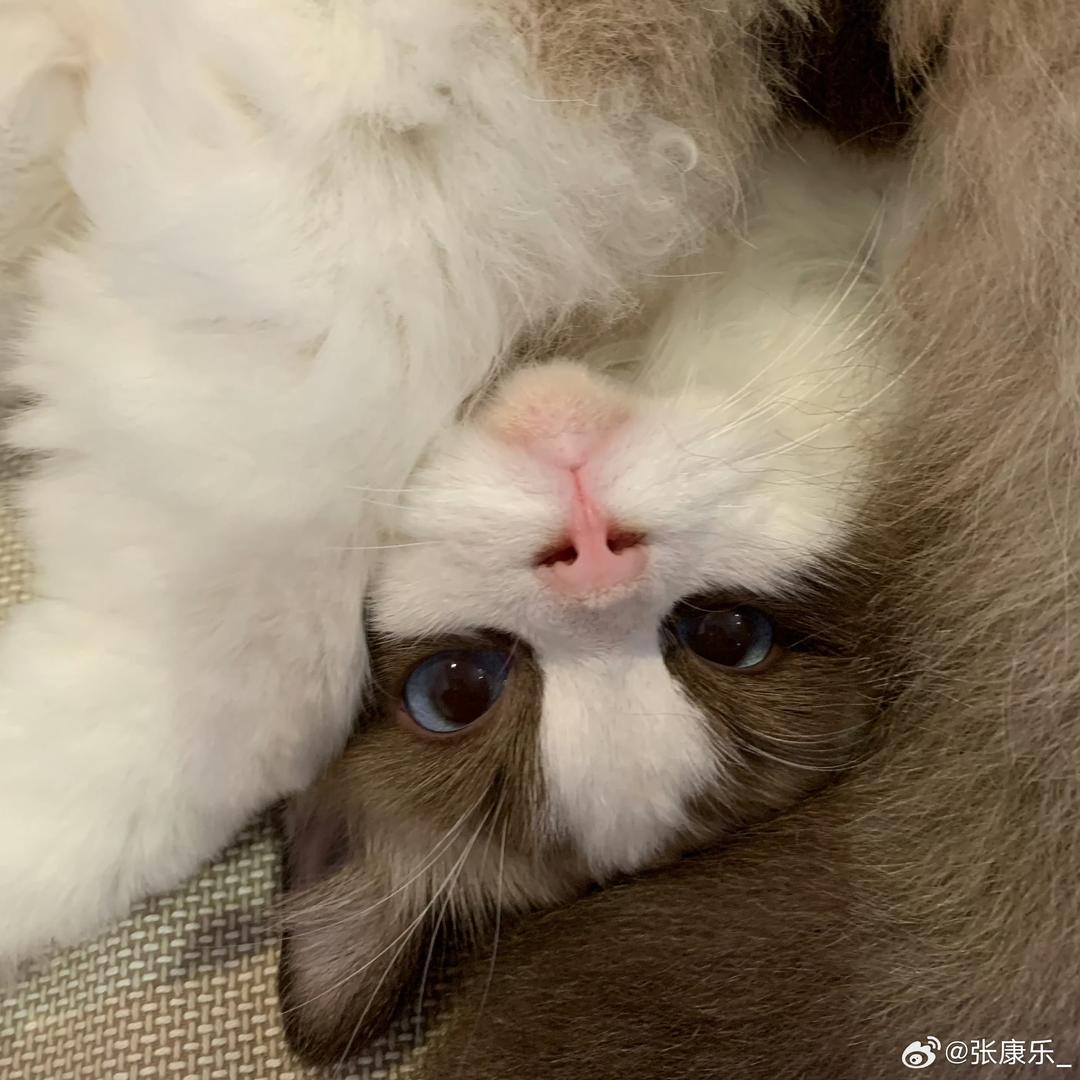 辣椒酱.