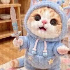 幼宝小猫