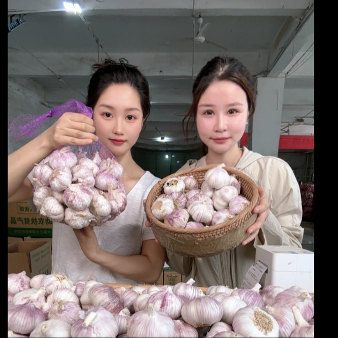 蔬海果蔬