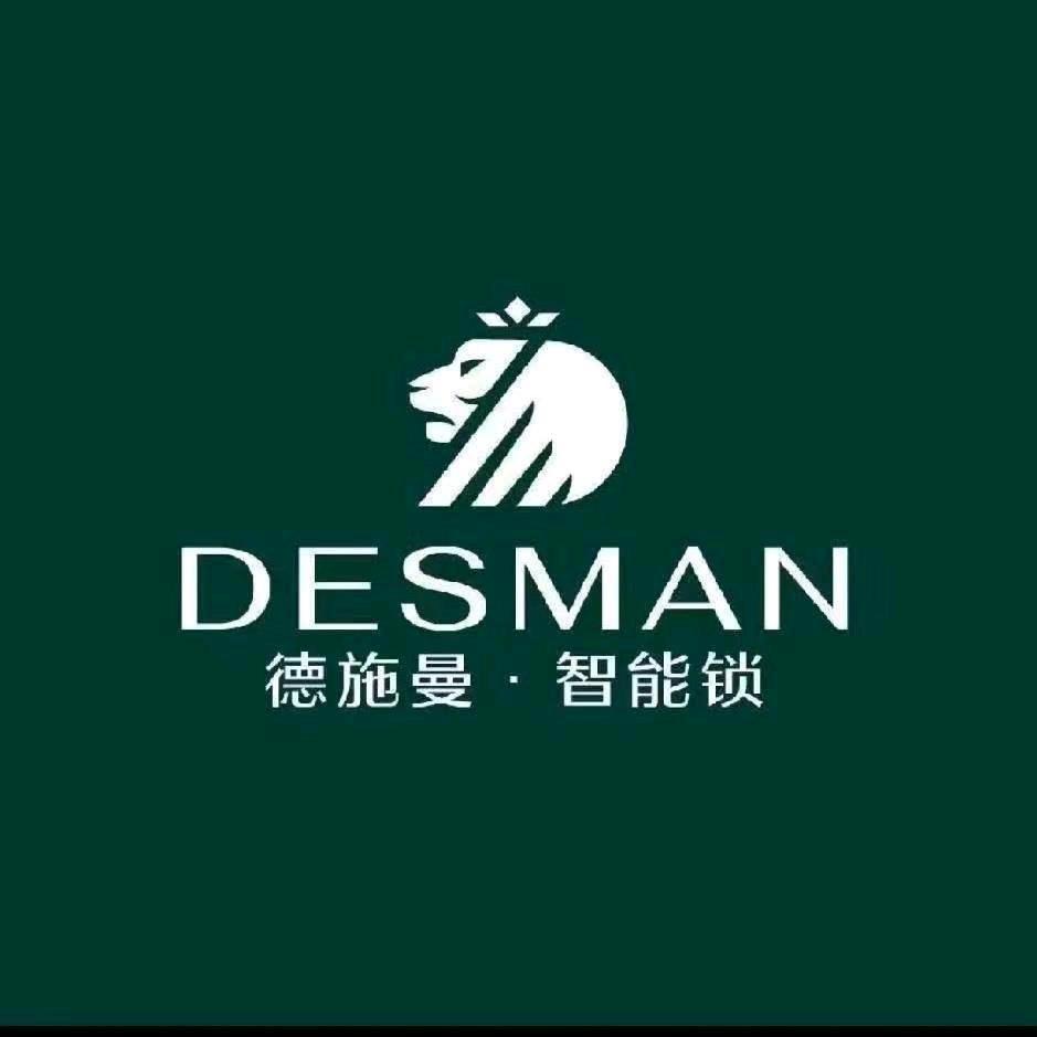 德施曼智能锁泰安总代理