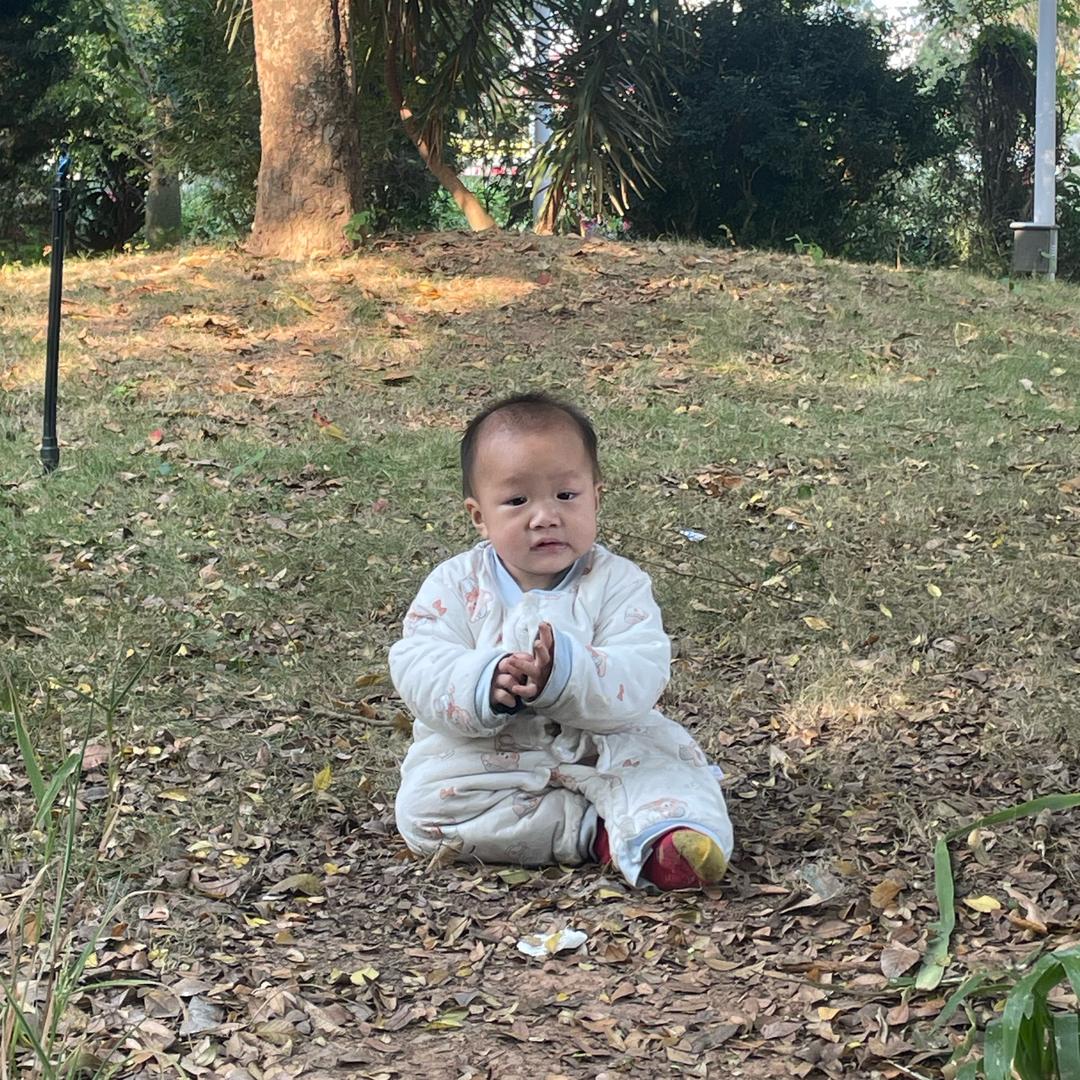 家有三宝