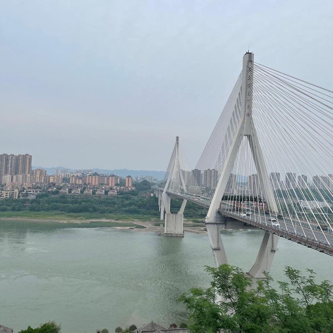 何小