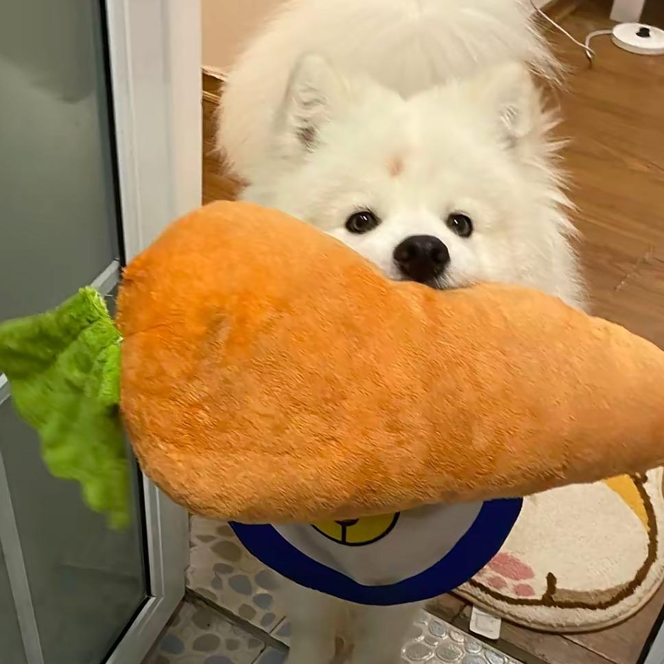 不要剧透
