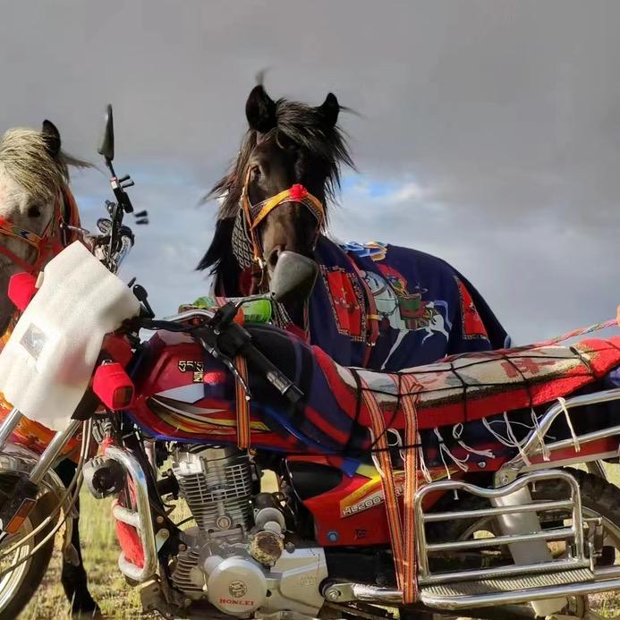 爱马如命🐎