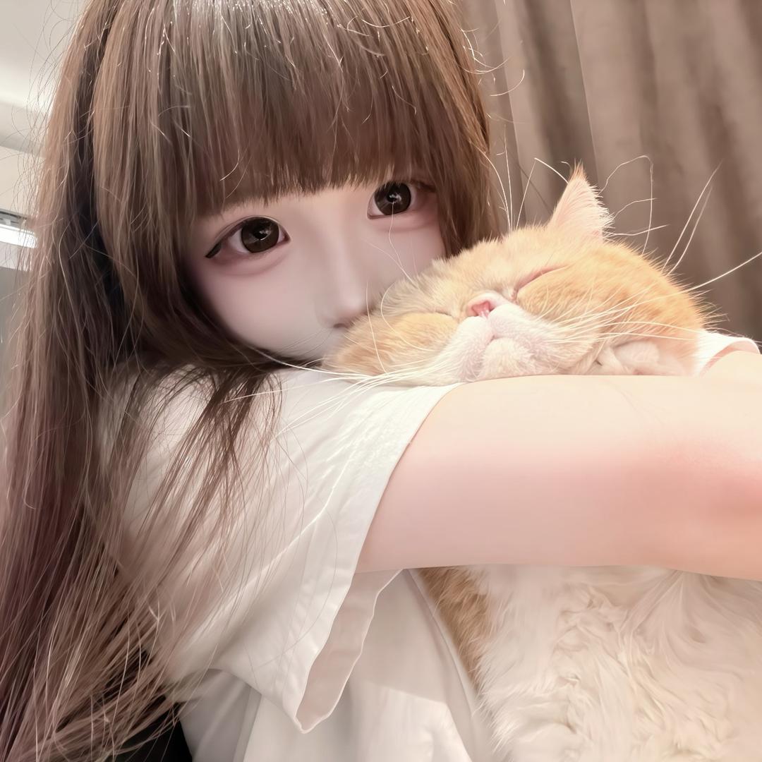 布偶
