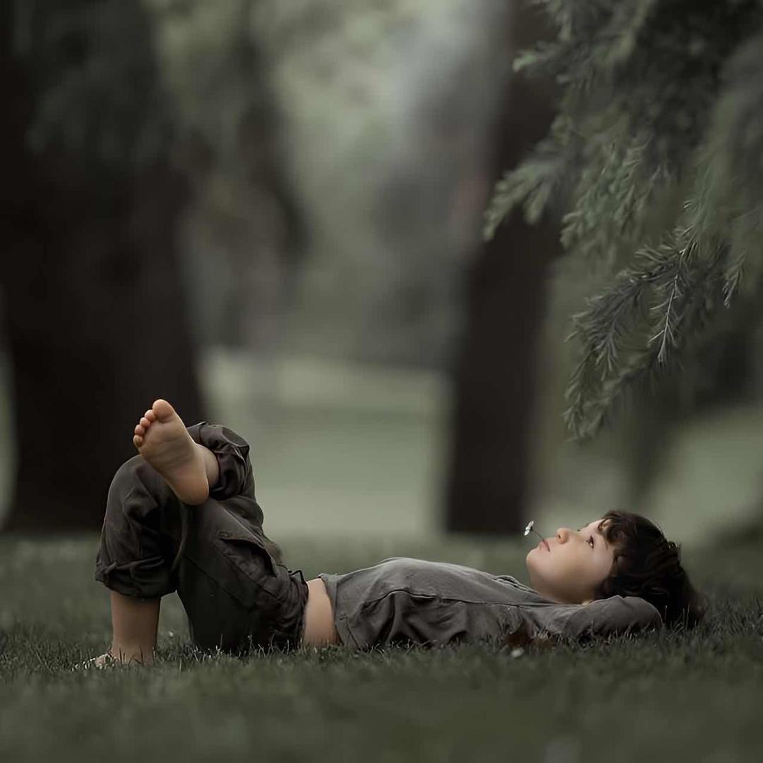 ー季樱花灬落雨殇