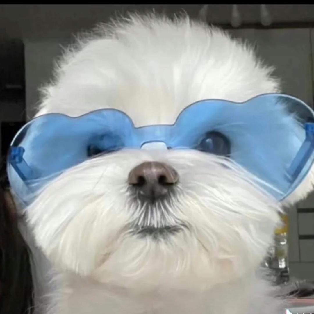 帕尼尼泡泡饼