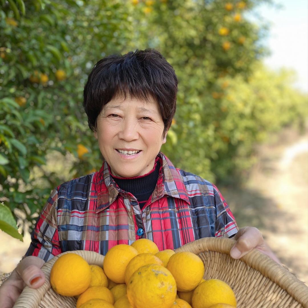守山奶奶