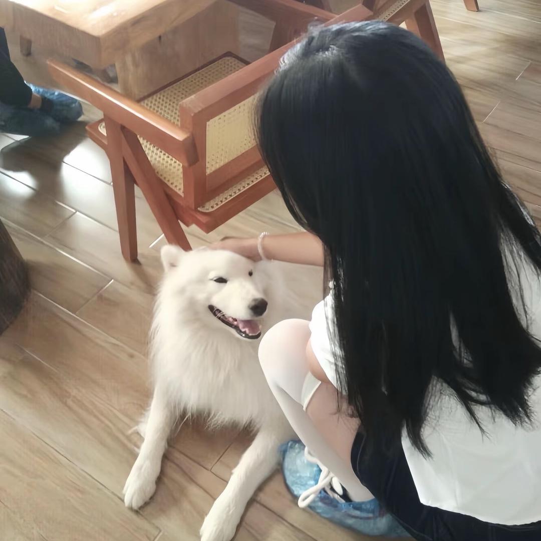 不想睡觉ai