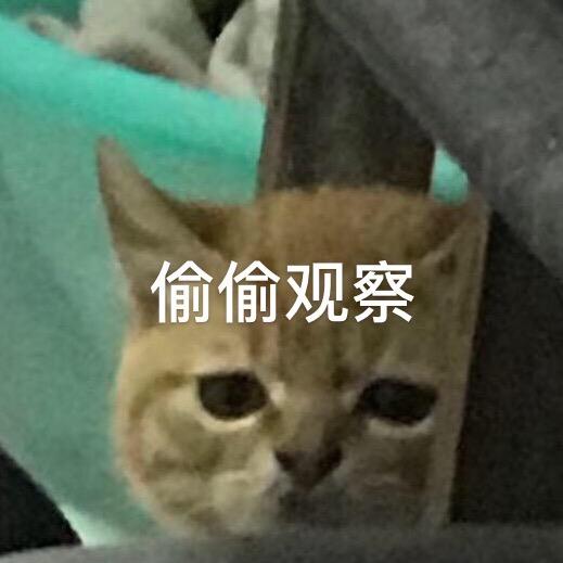 猪太白@抖音
