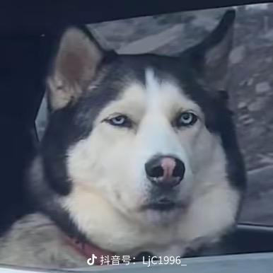 周兴伟三个字(不忘初心)
