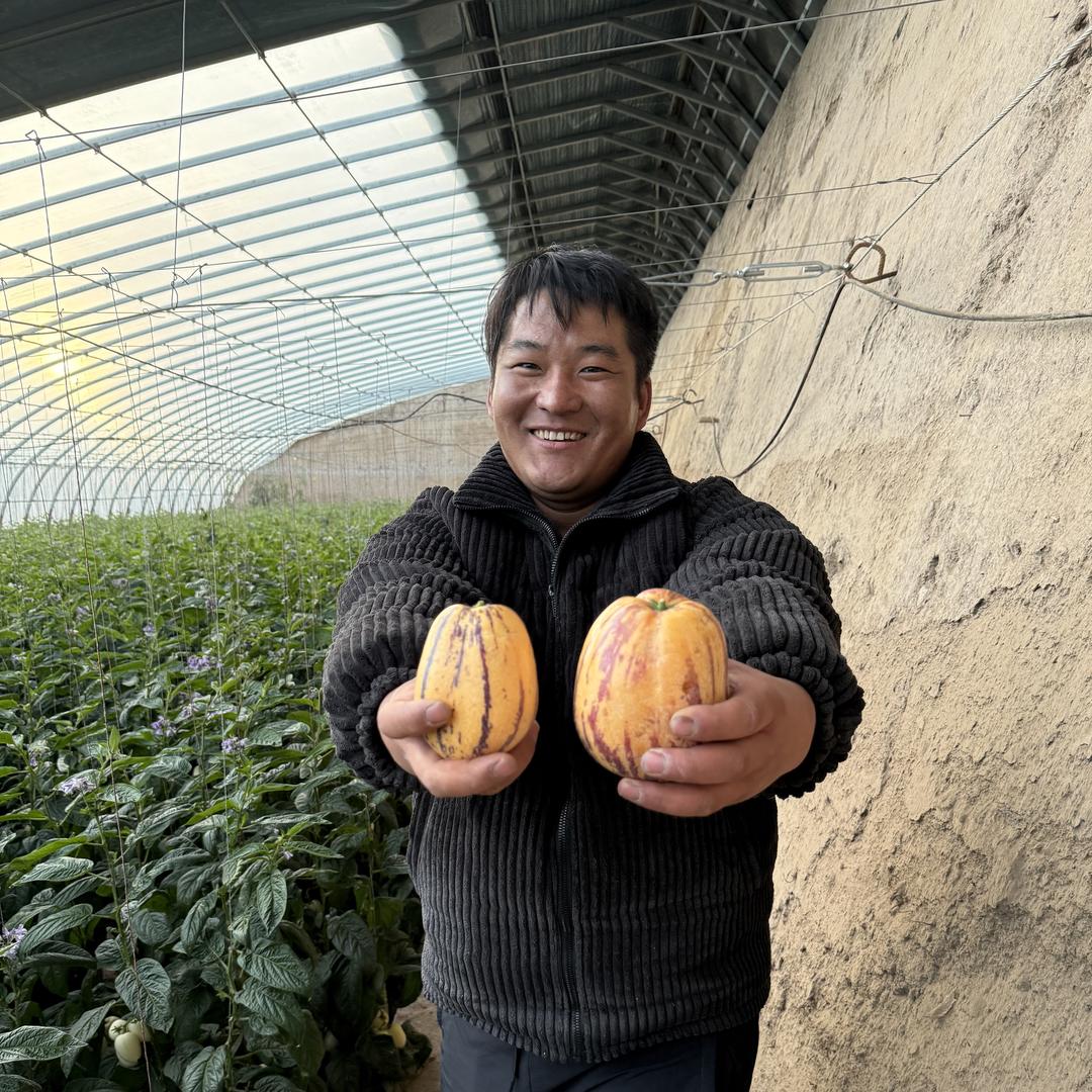 沙漠王子鲜果