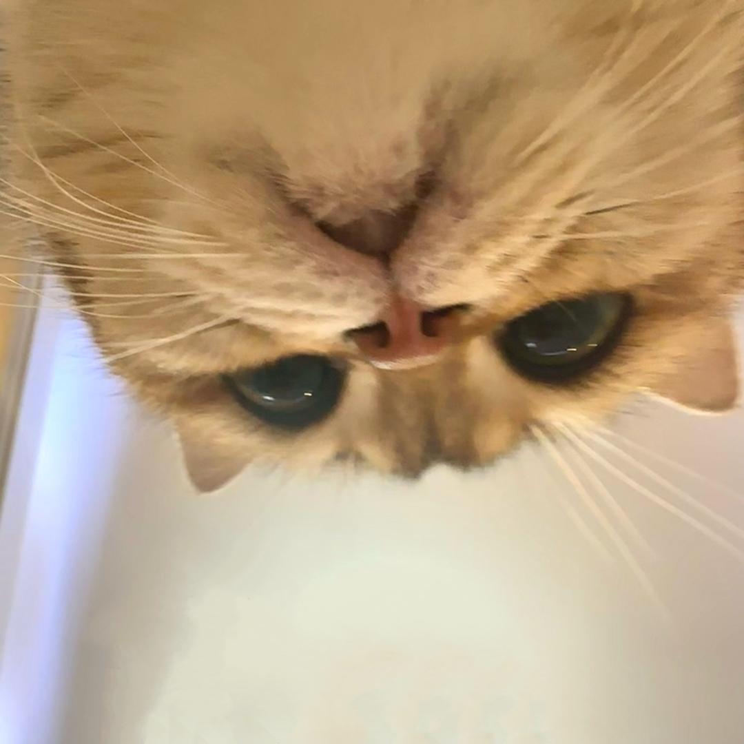 一定行