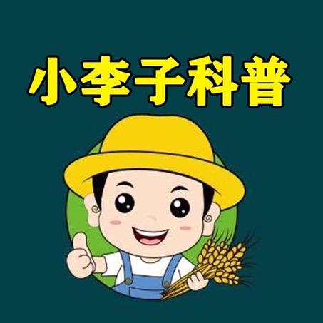 小李子科普