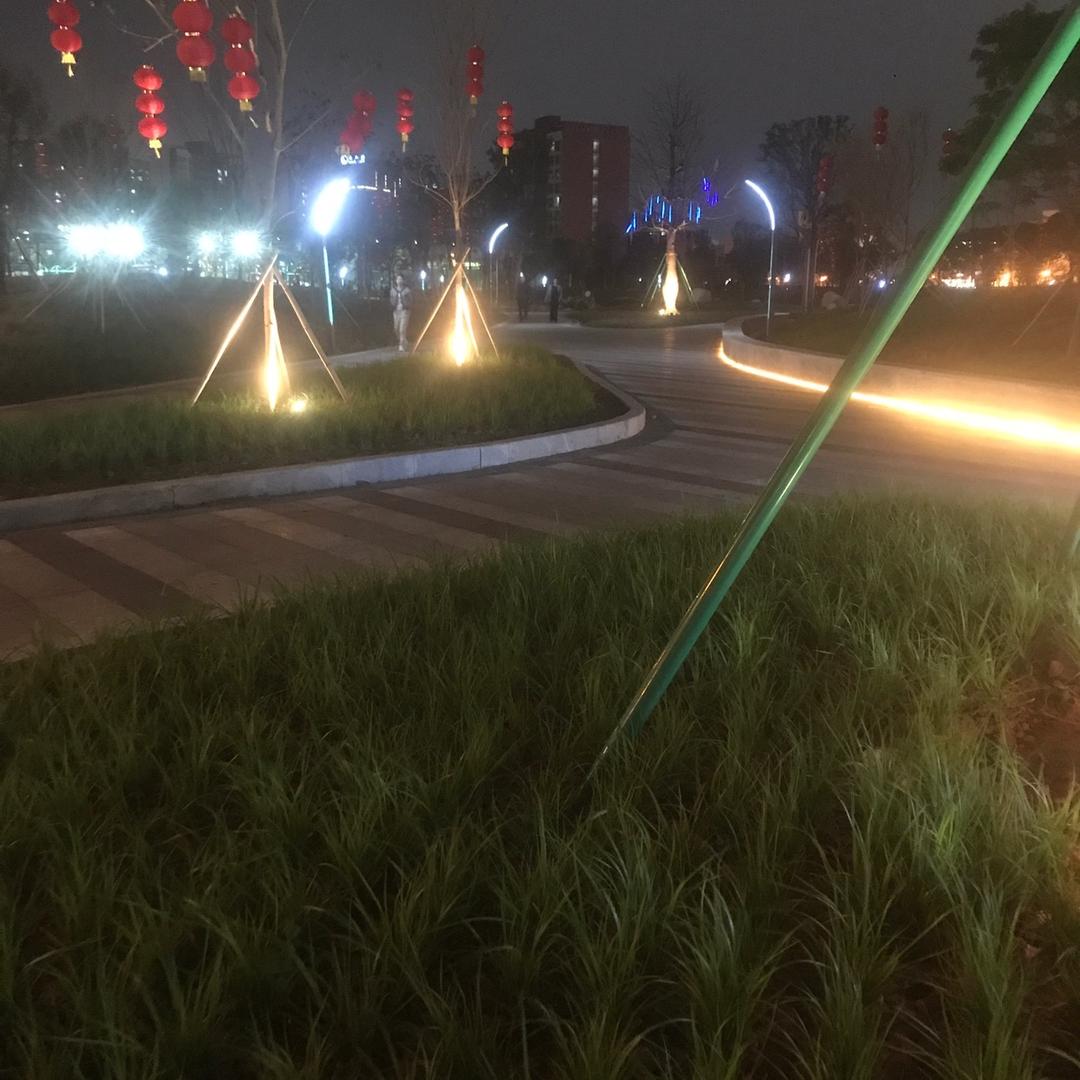 春去花还在