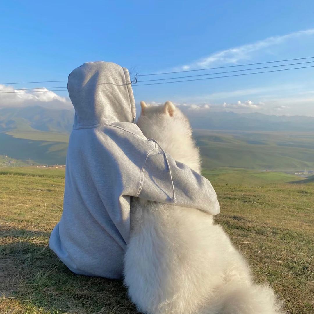 迪士尼在逃老奶