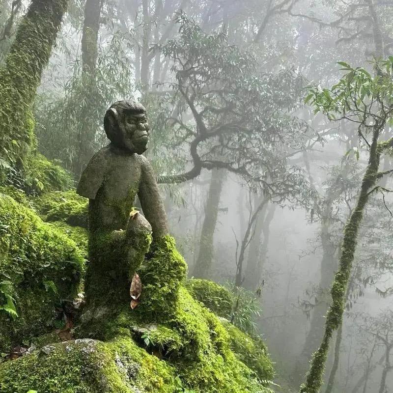 我是就是我