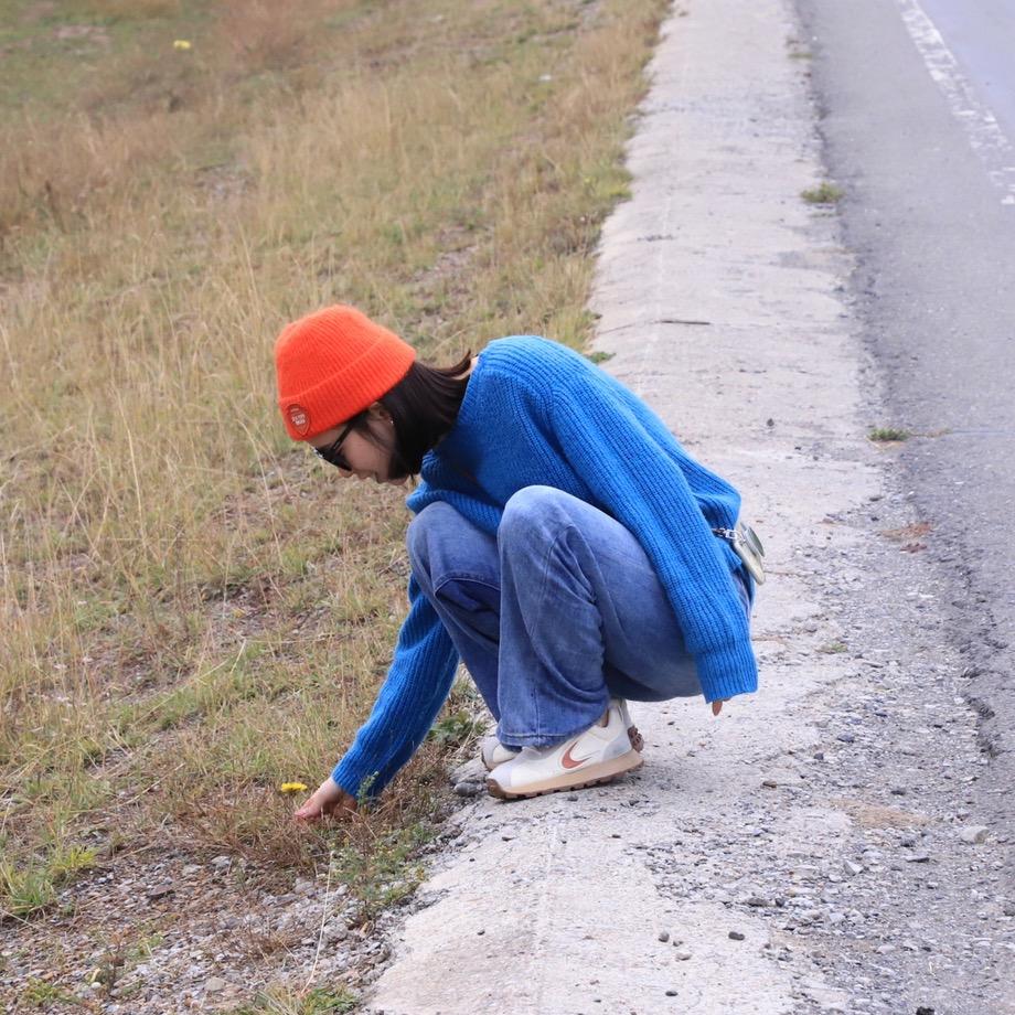 小柑橘子（牛马版）