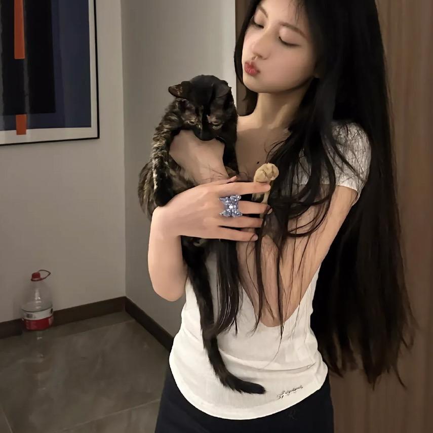 喵喵.