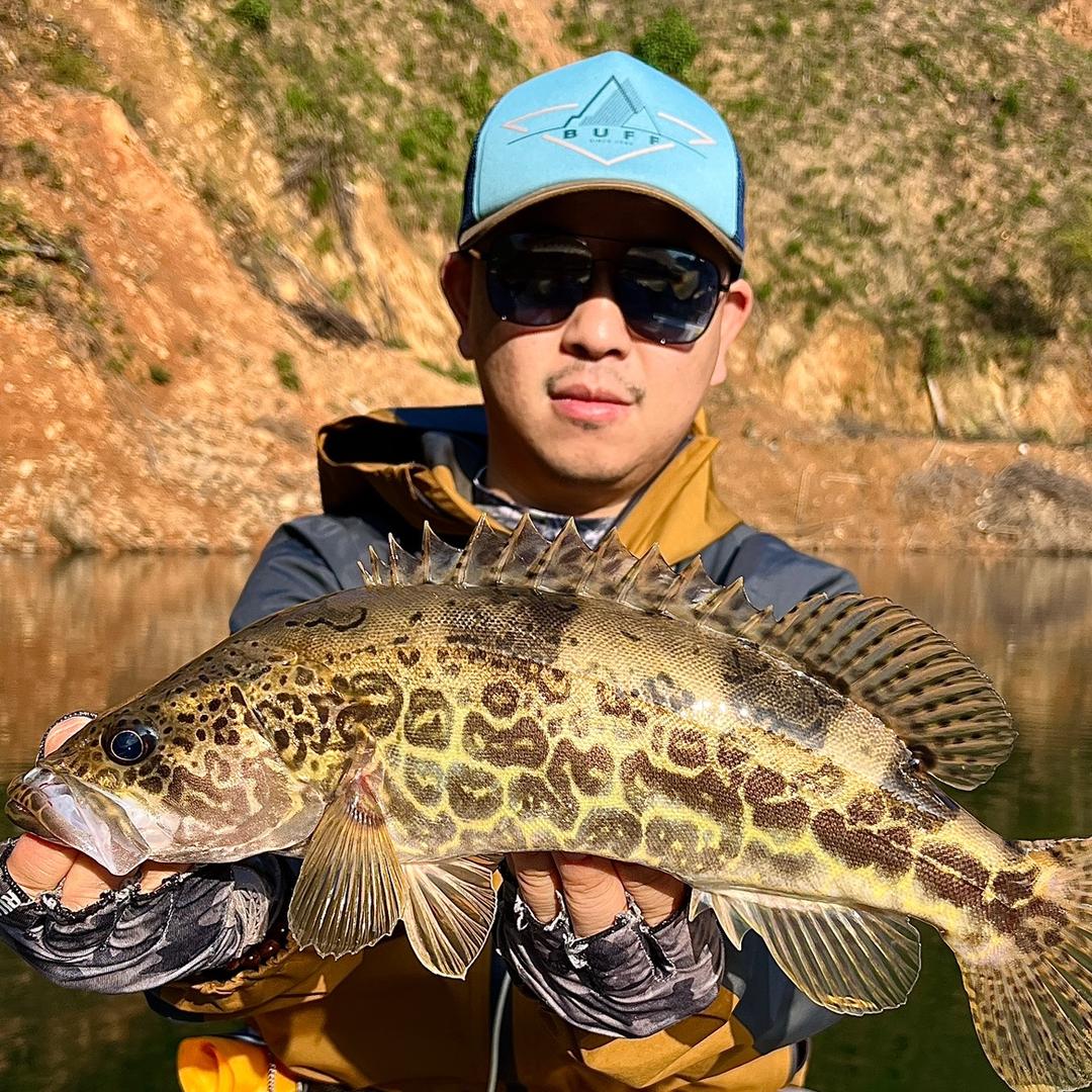 鹿鸦🦈
