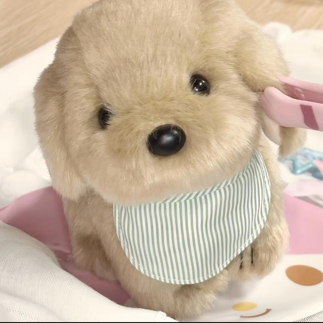 小崇