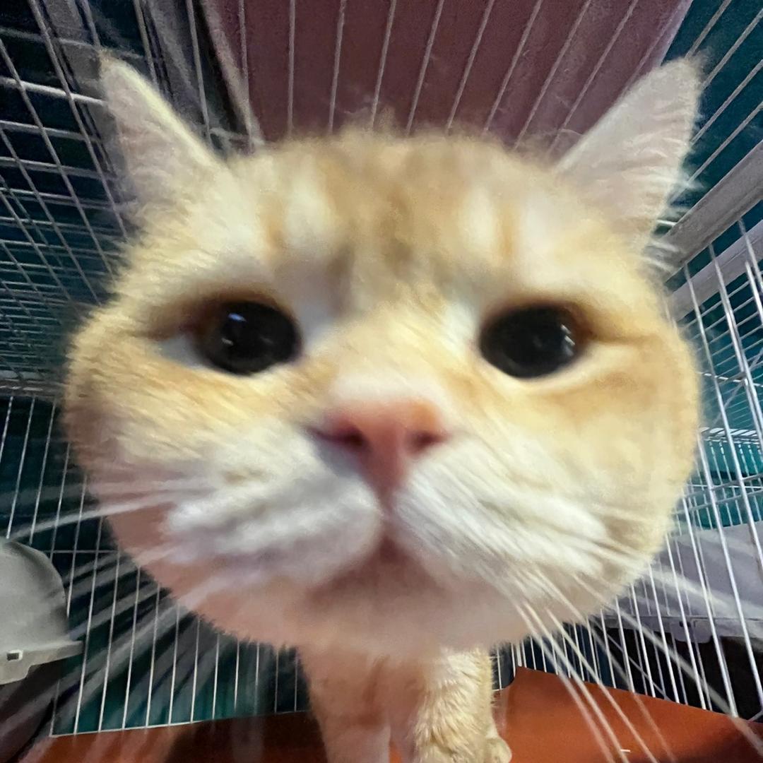 👶～Love you િ😳ઁૈીુ