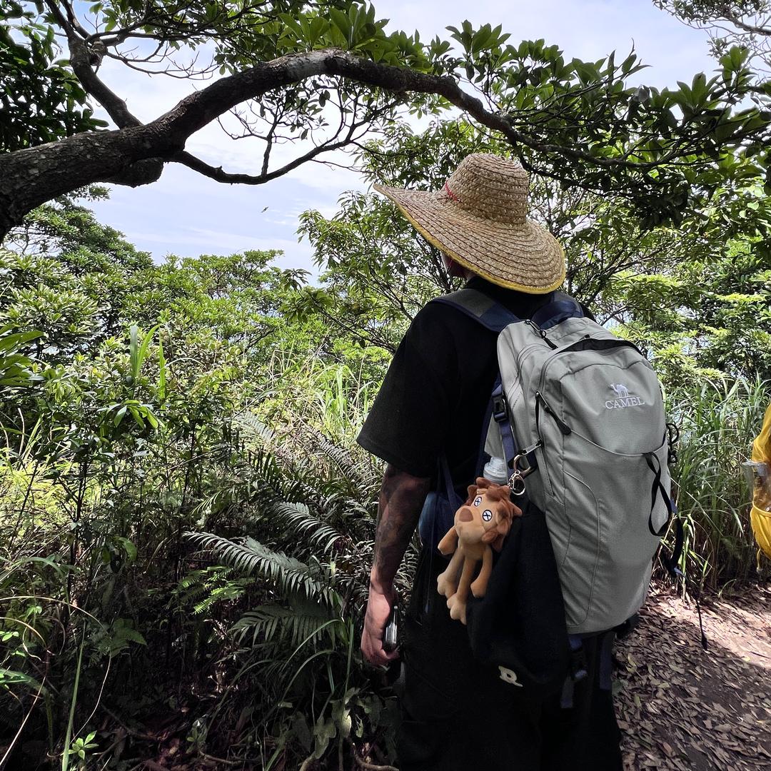 记忆者（爬山版）