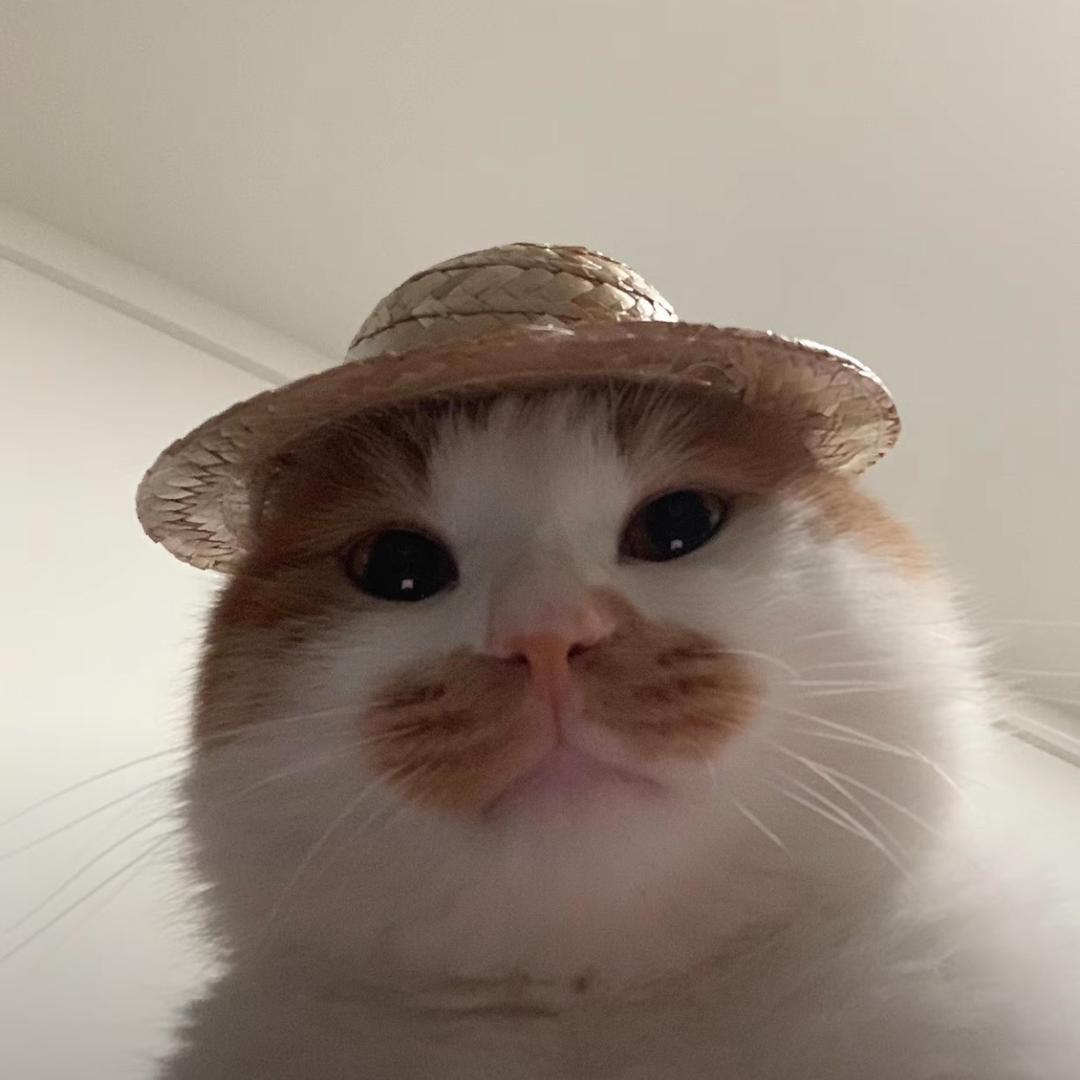 ^ 旺汪 ^