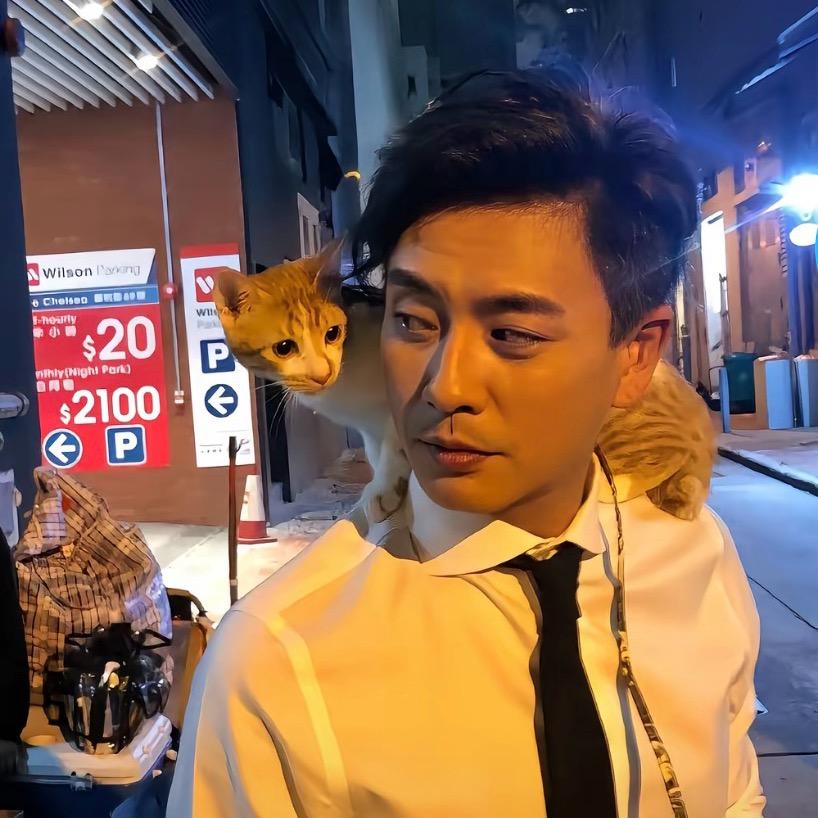 鱼窥荷