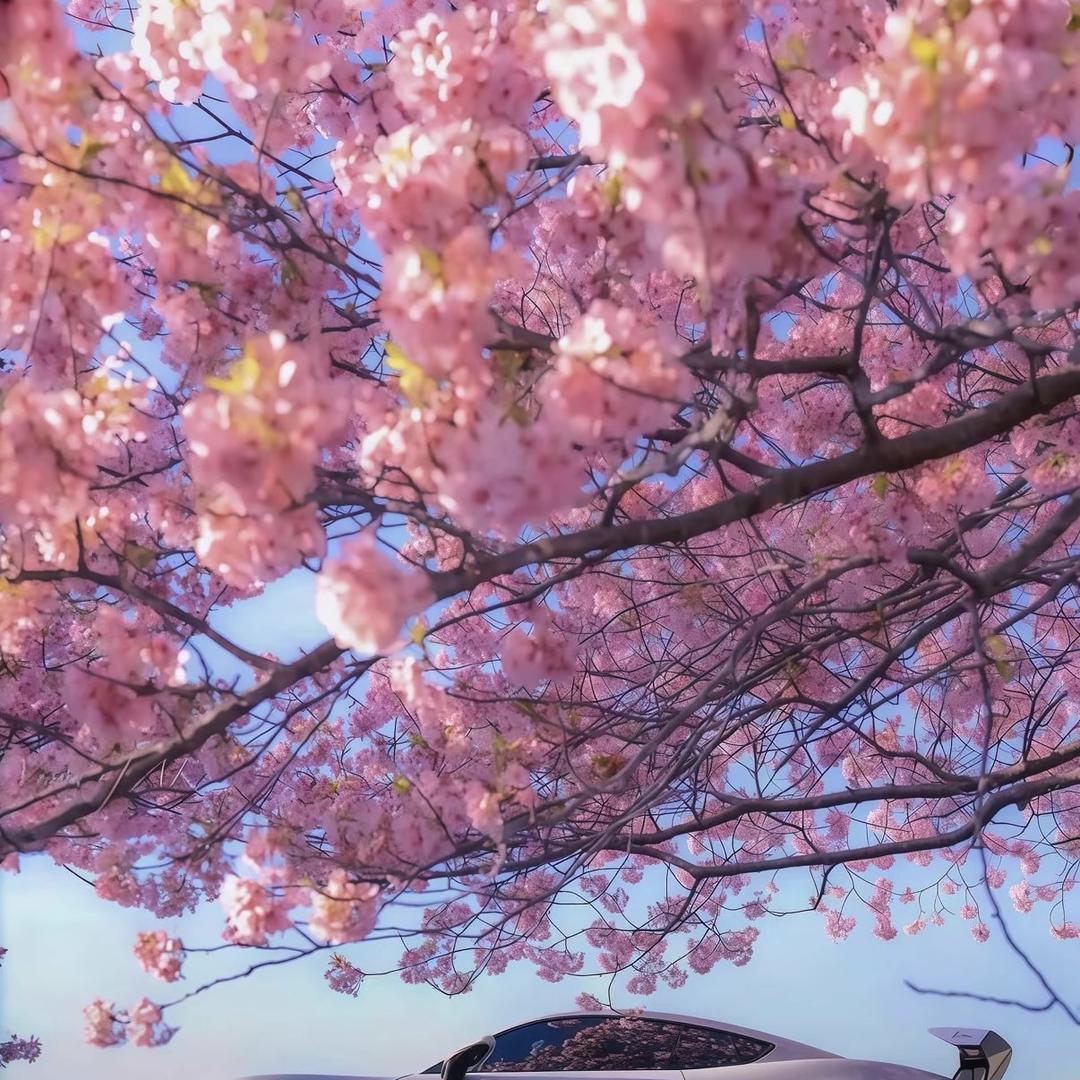 落花流水，暮春三月