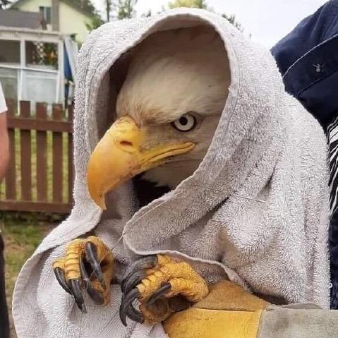 雕子灬（对三角洲失望版）