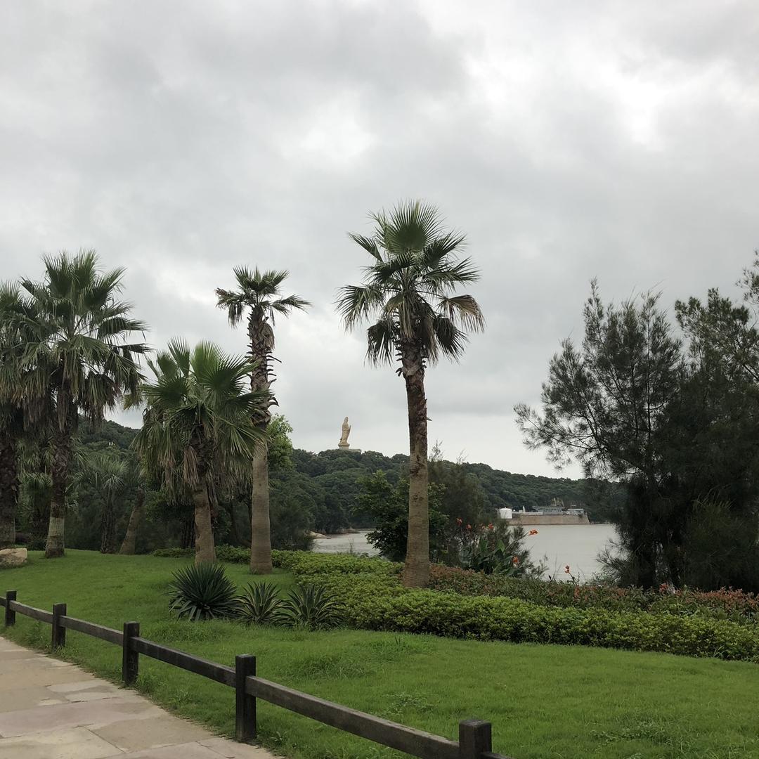 小浛