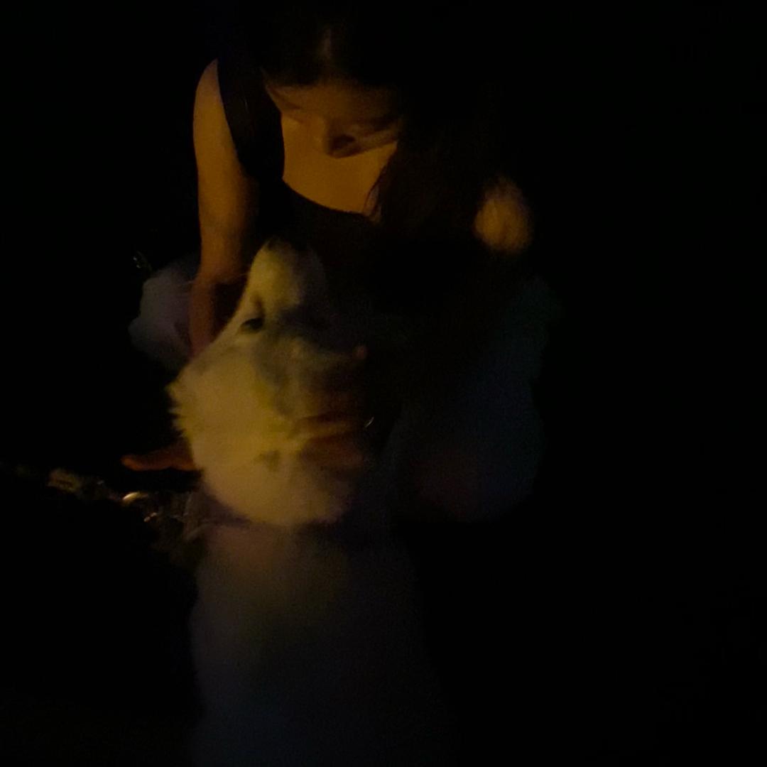 老抽