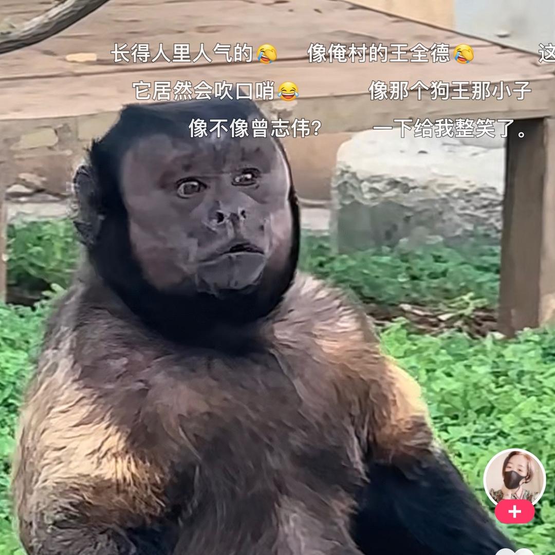 金箍隆咚伸缩棒