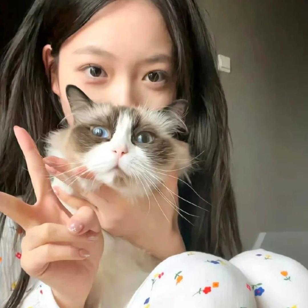 少吃一点v